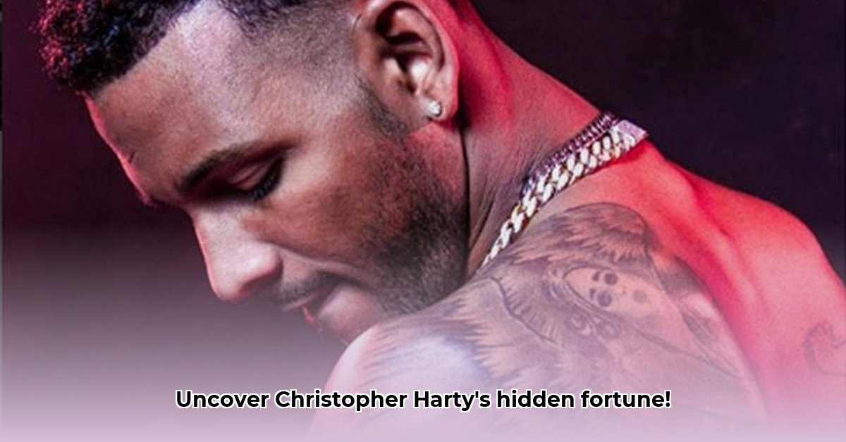 christopher-michael-harty-net-worth